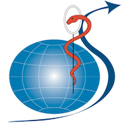 ICMM Logo